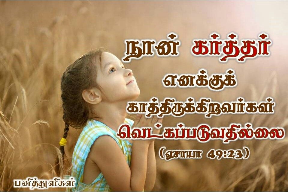 holy bible in tamil